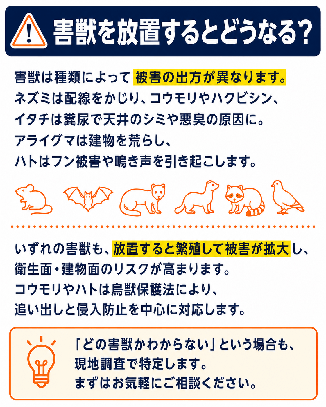 害獣を放置するとどうなる?害獣は種類によって被害の出方が異なります。放置すると繁殖して被害が拡大し、衛生面・建物面のリスクが高まります。コウモリやハトは鳥獣保護法により、追い出しと侵入防止を中心に対応します。どの害獣かわからない場合も現地調査で特定します。
